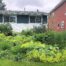 langford rain garden overview